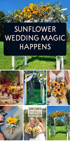 the sunflower wedding magic happens