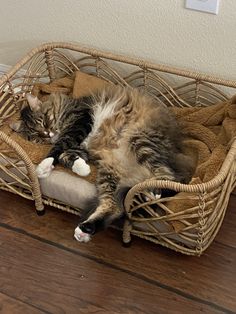 a cat laying in a basket on the floor