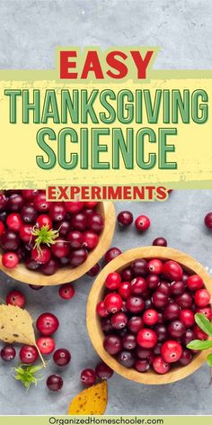 easy Thanksgiving sceince experiments written above two bowls of fresh cranberries Turkey Experiments For Kids, Harvest Science Preschool, November Stem Activities Kindergarten, November Steam Activities For Kids, November Activity Ideas, Thanksgiving Science For Kids, Thanksgiving Preschool Science, Science Thanksgiving Activities, Thanksgiving Science Experiments Preschool