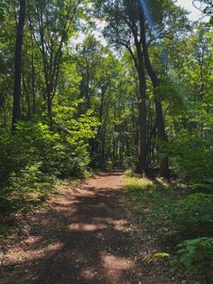 a dirt road surrounded by trees and bushes