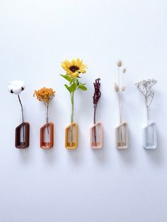 five different vases with flowers in them on a white surface