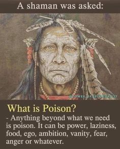 What Is Poison, American Indian Quotes, Indian Quotes, Native American Wisdom, Native American Quotes, Best Pics, Intp, Intj, Quotable Quotes