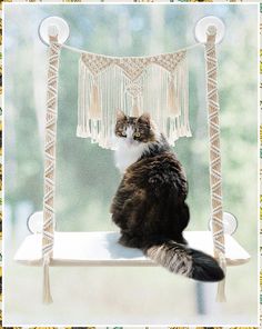 Dahey Cat Window Perch Macrame Cat Hammock Boho Wall Mounted Pet Resting Seat Bed for Indoor Cats Space Saving kitty Sunny Sw Shelf On Window, Window Safety