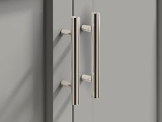 an image of two handles on a door