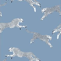 a blue background with white cheetah and leopards on it's sides