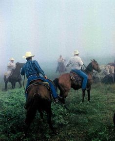 several men riding horses in the foggy field