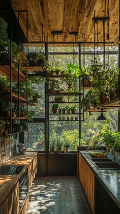 Beautiful green boho kitchen with hanging plants, wooden shelves filled with houseplants, and warm wood tones. Boho Interior Kitchen, Kitchen Ideas Earthy, Kitchen With Hanging Plants, Moody Earthy Kitchen, Earthy Kitchen Design, Bohemian Kitchen Design, Kitchen Plants Decor, Earthy Homes, Modern Open Kitchen