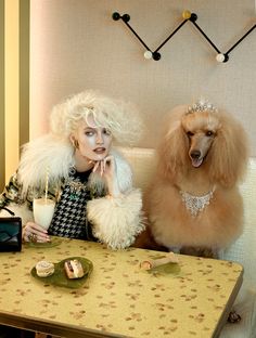 a woman sitting at a table with two poodles in front of her and one holding a drink