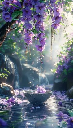 purple flowers are floating in a bowl on the water with sunlight streaming through it and onto the ground