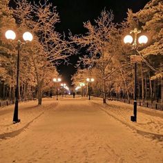 a snow covered park at night with street lights