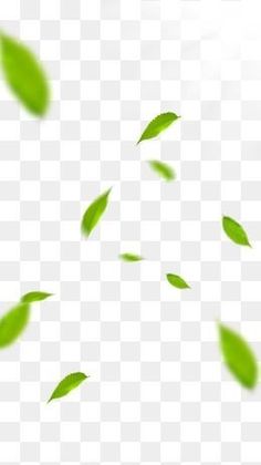 green leaves flying in the air on a white background, hd png clipart