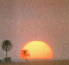 the sun is setting behind two palm trees