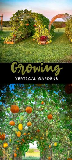 the cover of growing vertical gardens, with oranges hanging from trees and an arch in the