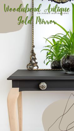 a black table with some plants on it and a sign in the background that says woodadd antique gold mirror