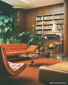 a living room filled with furniture and lots of plants