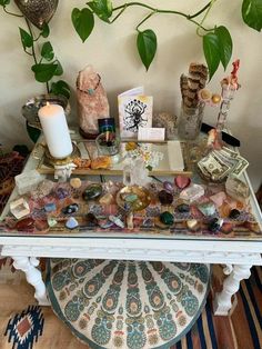 a table topped with lots of different types of rocks and other items next to a potted plant