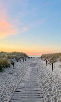 a wooden walkway leading to the beach at sunset with grass and sand dunes in the background