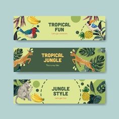 three tropical banners with animals, plants and fruits on them for jungle style party decorations