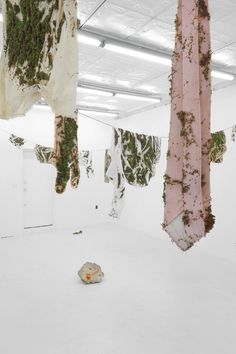 several pieces of cloth hanging from the ceiling in an art gallery with moss growing on them