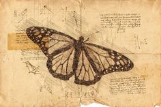 a drawing of a butterfly sitting on top of a piece of paper