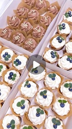 two trays filled with cupcakes covered in white frosting and blueberries