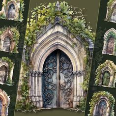 a collage of doors and windows with vines growing on them