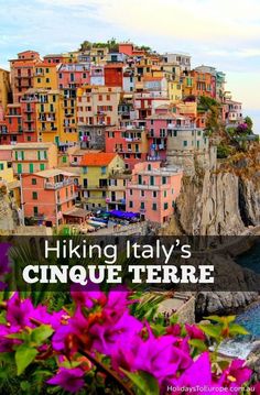 colorful buildings on the side of a cliff with purple flowers in front of it and text overlay reading hiking italy's cinque terre