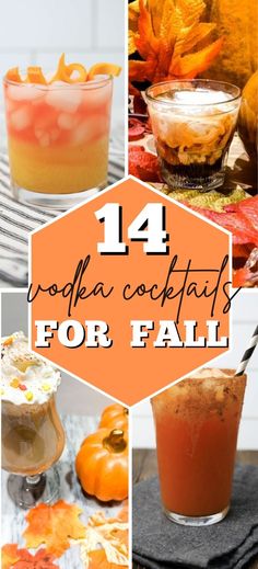 14 Fall Vodka Cocktails Fun Vodka Drinks Cocktails, Fun Mix Drinks, Cute Fall Alcohol Drinks, Signature Drink Recipes, Fancy Fall Drinks, Best Shots Alcohol Recipes, Whipped Vodka Fall Drink, Maple Vodka Cocktail, Group Drinks Alcohol