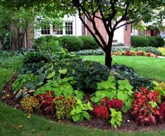 the garden is full of colorful flowers and trees