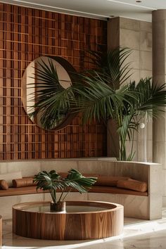 a living room filled with furniture next to a large plant on top of a wooden table