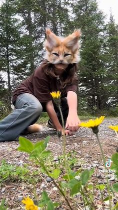 a person kneeling down with a cat on their head and yellow flowers in the foreground