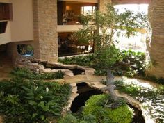 Indoor Koi Pond and Island Bar Concept, Indoor Water Features, Indoor Water Garden, Aquarium Terrarium, Pond Waterfall, Aquaponics System, Pond Design, Indoor Gardens