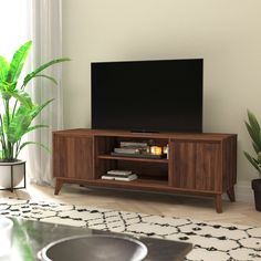 a flat screen tv sitting on top of a wooden entertainment center next to a potted plant