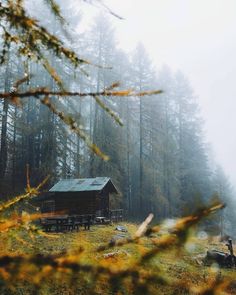 a cabin in the middle of a forest on a foggy day