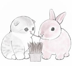 two rabbits are sitting next to each other in front of a potted grass plant