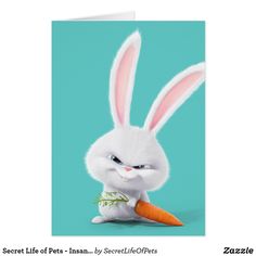 the secret life of pets bunny is holding a carrot