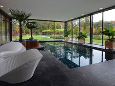 an indoor swimming pool surrounded by glass walls and potted plants on either side of it