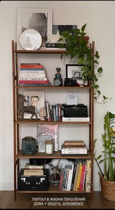 a bookshelf filled with lots of books next to a potted plant on top of a wooden table