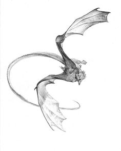 a drawing of a dragon flying through the air