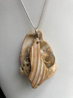 "Sea shell choker pendant, ocean shells clustered with all different types of shells on Sterling plated rings. Unique seashell pendant measures 2 3/4\" X 1 7/8''. comes on a sterling plated 20\" loop chain seen in the last picture. Sterling silver necklace is not included, it was used as DISPLAY ONLY.  But it can be purchased for $52.50 and necklace 20'' and  is stamped 925 Italy. You can compare the size of the shells to the $0.50 cent piece in the pictures. All my necklaces are different and would be considered one of a kind. View my collection of Kingman Arizona Turquoise here: https://www.etsy.com/shop/MoonwaterJewelryShop?section_id=28192591  I've been selling on eBay since 2003 Came to Etsy to sell jewelry. Returns and exchange details ► RETURNS / EXCHANGES All items are handcrafted Sea Shell Pendant Necklace, Sea Shell Jewelry Ideas, Unique Shell Necklaces, Unique Mother Of Pearl Shell Pendant Necklace, Unique Shell Pendant Necklace, Sea Shell Necklace Diy, Shell Necklace Diy, Deer Horn Jewelry, Seashell Jewelry Diy