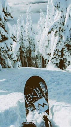 a snowboarder is standing in the snow near some trees