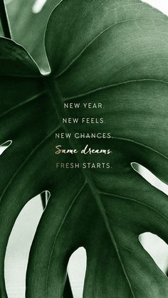 a green leaf with the words new year, new changes, some dreams and fresh starts