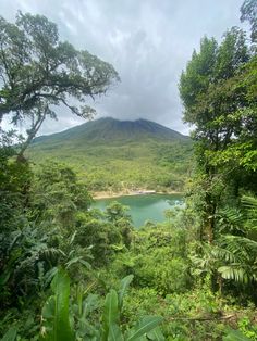 a view of a lake surrounded by trees in the middle of a lush green forest