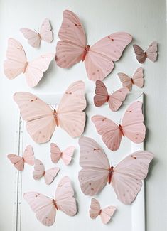 a group of pink butterflies mounted to the side of a wall