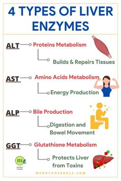 The 8 Best Ayurvedic Herbs to Treat High Liver Enzymes Heal Liver, Protein Metabolism, Liver Support, Ayurvedic Herbs