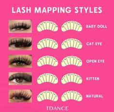 Lash Map For Beginners, Different Lash Mapping Styles, Hooded Eye Lash Extension Mapping, Lashes With Numbers, Lash Map Styles, Lash Extensions Maps, Type Of Eyelash Extensions, Babydoll Lash Map, Kitten Lash Map