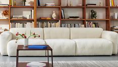 a living room filled with lots of bookshelves next to a couch and coffee table