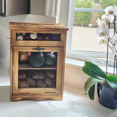 a wooden cabinet filled with lots of different types of items next to a potted plant