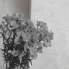 a black and white photo of flowers in a vase