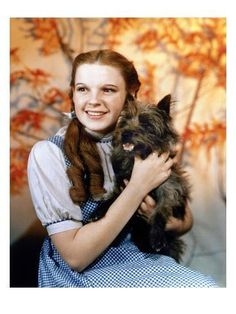 a woman holding a small dog in her arms